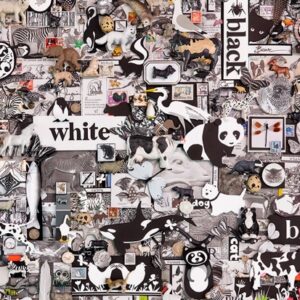 Black And White Animals