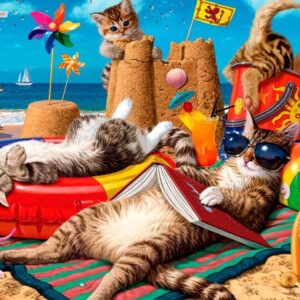 Cats On The Beach