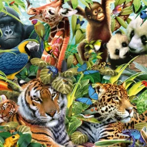 Colourful Animal Kingdom