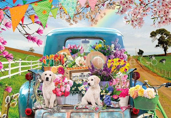 Country Truck In Spring