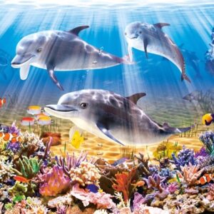 Dolphins Underwater