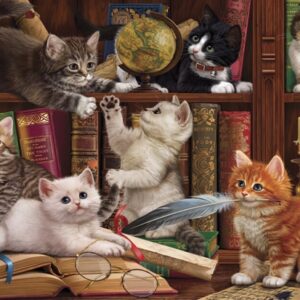 Kittens In The Library