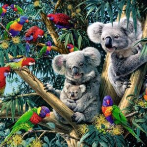 Koalas In Tree