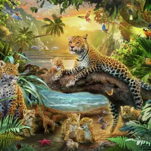 Leopards In The Jungle
