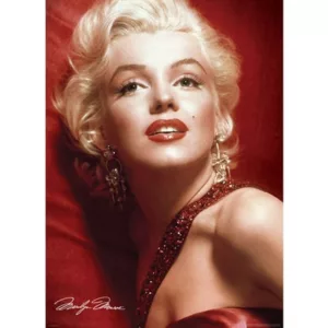 Marilyn Monroe Red Portrait