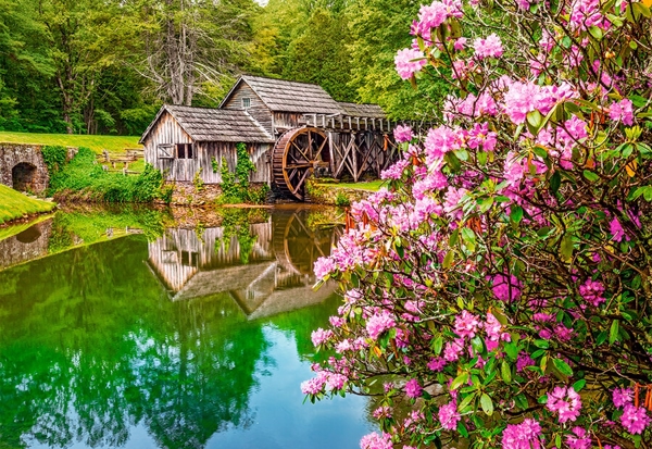 Mill By The Pond