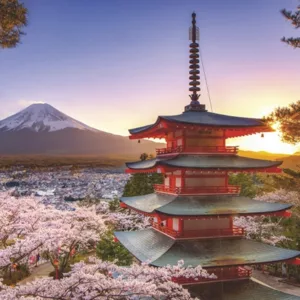 Mount Fuji Cherry Blossom View