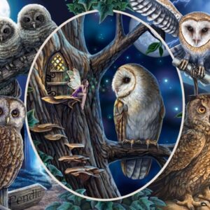 Mysterious Owls