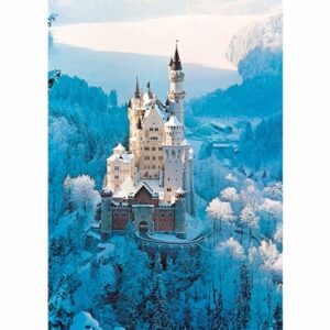 Neuschwanstein Castle In Winter