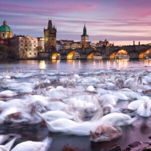 Prague Swans