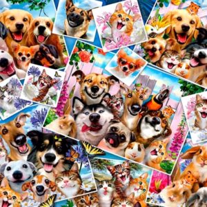 Selfie Pet Collage