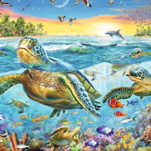 Swim With Sea Turtles