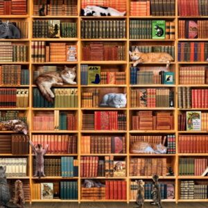 The Cat Library