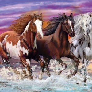 Trio Of Wild Horses
