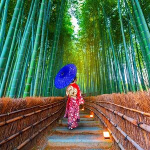 Asian Woman In Bamboo Forest