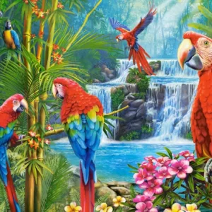 Parrot Meeting