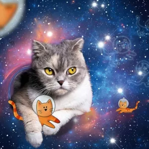 Cats In Space