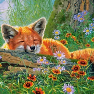 Foxy Dreams