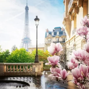 Spring In Paris