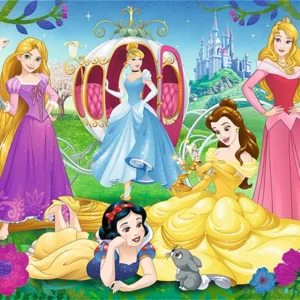 Disney Princesses (Glitter)
