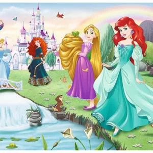 Meet The Disney Princesses